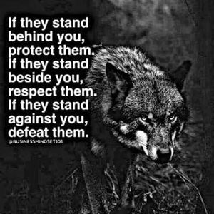 Meet your Posher, Tom